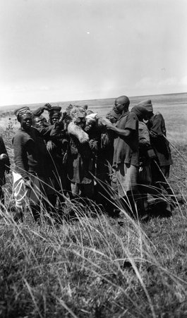 Natives in Africa - McCutcheon, John T. (John Tinney), 1870-1949
