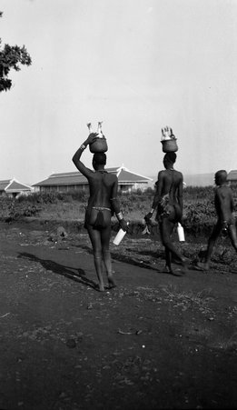 Natives in Africa - McCutcheon, John T. (John Tinney), 1870-1949
