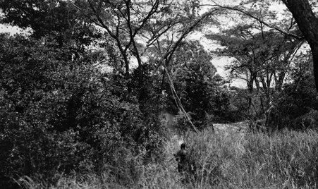 Scenery - McCutcheon, John T. (John Tinney), 1870-1949