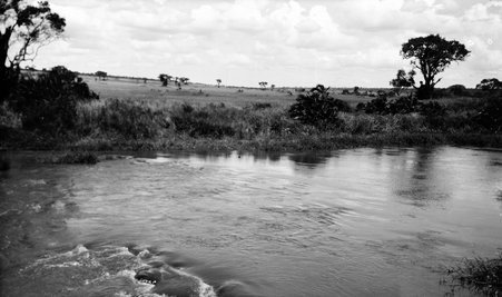 Scenery - McCutcheon, John T. (John Tinney), 1870-1949