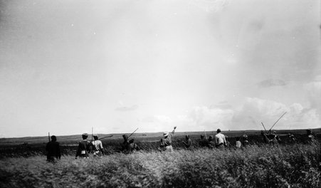 Safari - McCutcheon, John T. (John Tinney), 1870-1949