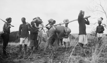 Safari - McCutcheon, John T. (John Tinney), 1870-1949