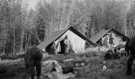 Camps - McCutcheon, John T. (John Tinney), 1870-1949