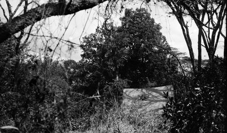 Scenery - McCutcheon, John T. (John Tinney), 1870-1949