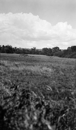 Scenery - McCutcheon, John T. (John Tinney), 1870-1949