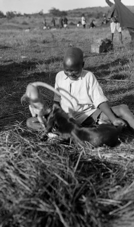Safari - McCutcheon, John T. (John Tinney), 1870-1949