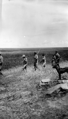 Safari - McCutcheon, John T. (John Tinney), 1870-1949