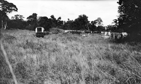 Camps - McCutcheon, John T. (John Tinney), 1870-1949