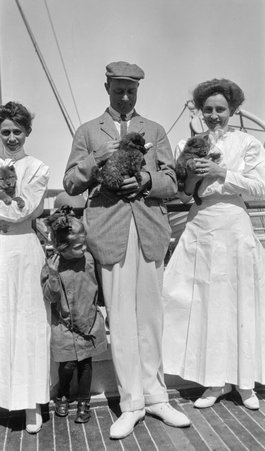 Chows - McCutcheon, John T. (John Tinney), 1870-1949