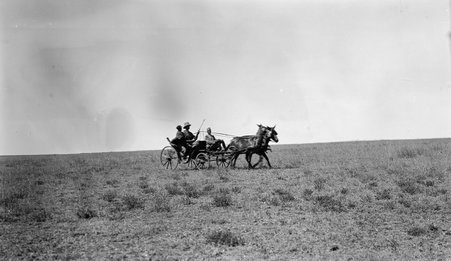 Carriage, fire - McCutcheon, John T. (John Tinney), 1870-1949
