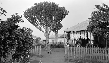 Places in Africa - McCutcheon, John T. (John Tinney), 1870-1949