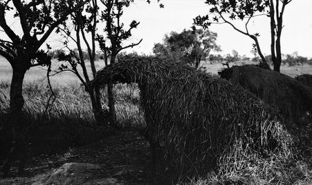 Scenery - McCutcheon, John T. (John Tinney), 1870-1949
