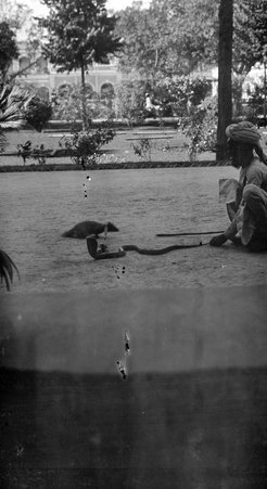 Going through India - McCutcheon, John T. (John Tinney), 1870-1949