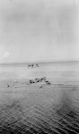 Going through India - McCutcheon, John T. (John Tinney), 1870-1949