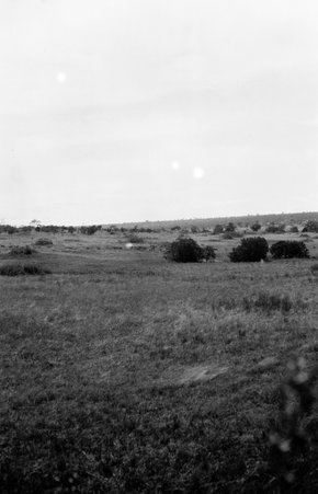 Scenery - McCutcheon, John T. (John Tinney), 1870-1949