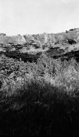 Scenery - McCutcheon, John T. (John Tinney), 1870-1949