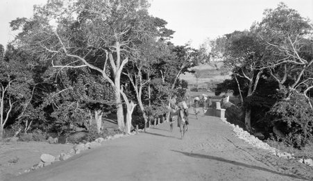 Places in Africa - McCutcheon, John T. (John Tinney), 1870-1949