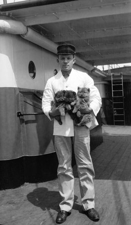 Chows - McCutcheon, John T. (John Tinney), 1870-1949
