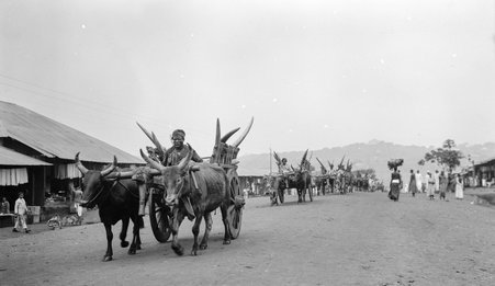 Places in Africa - McCutcheon, John T. (John Tinney), 1870-1949