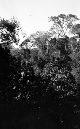 Scenery - McCutcheon, John T. (John Tinney), 1870-1949