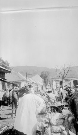 Pirate cruise - McCutcheon, John T. (John Tinney), 1870-1949