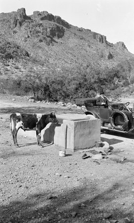 Nde (Apache) hunt, Grand Canyon - McCutcheon, John T. (John Tinney), 1870-1949