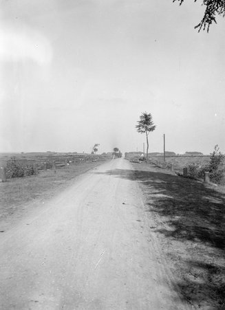Desolated boulevard approaching Maubege, France, World War 1 - McCutcheon, John T. (John Tinney), 1870-1949