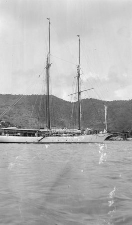 Tolofa Cruise - McCutcheon, John T. (John Tinney), 1870-1949