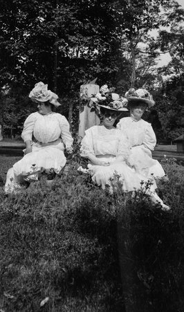 Indiana society picnic - McCutcheon, John T. (John Tinney), 1870-1949