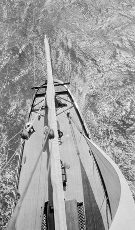 Tolofa Cruise - McCutcheon, John T. (John Tinney), 1870-1949