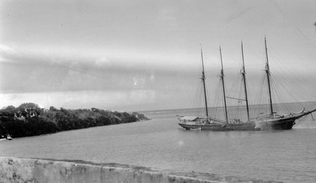 Tolofa Cruise - McCutcheon, John T. (John Tinney), 1870-1949