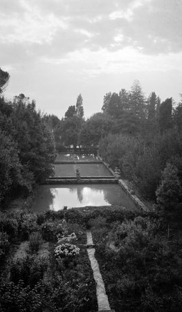 Salonika, Serbia, Greek Islands - McCutcheon, John T. (John Tinney), 1870-1949