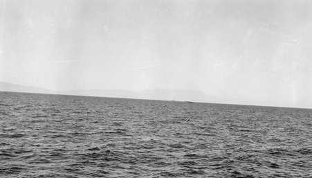 Salonika, Serbia, Greek Islands - McCutcheon, John T. (John Tinney), 1870-1949