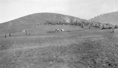 Salonika, Serbia, Greek Islands - McCutcheon, John T. (John Tinney), 1870-1949