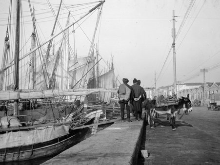Salonika - McCutcheon, John T. (John Tinney), 1870-1949