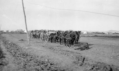 France, World War 1 - McCutcheon, John T. (John Tinney), 1870-1949