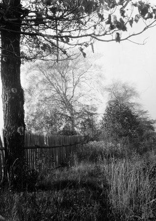 Scenes with fence by Western Cemetary, SW of 2658 Franklin, Gwynns Falls Park - Coster, Gordon, 1920-1985