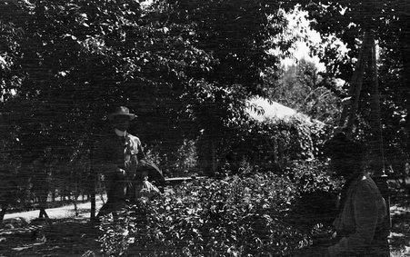 Unidentified views - McCutcheon, John T. (John Tinney), 1870-1949