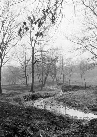 Gwynns Falls Park - Coster, Gordon, 1920-1985