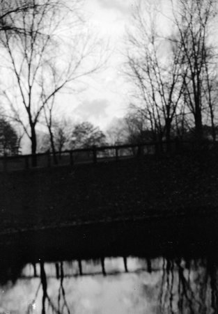 Druid Hill - Coster, Gordon, 1920-1985