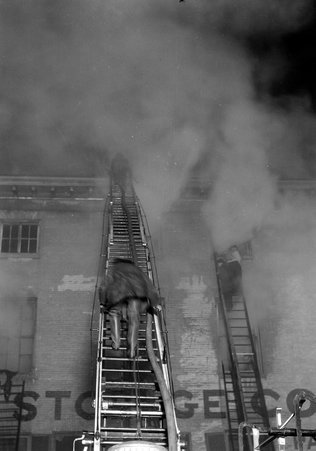 Saratoga Storage Co. Fire - Coster, Gordon, 1920-1985