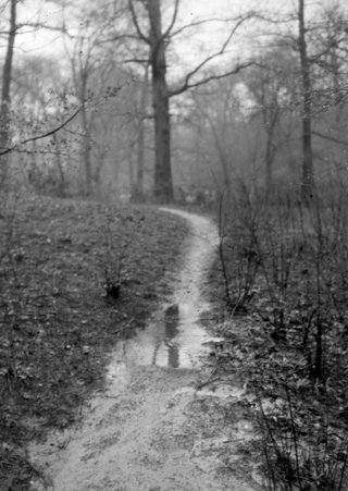 Woodlawn - Coster, Gordon, 1920-1985