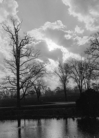 Woodlawn - Coster, Gordon, 1920-1985