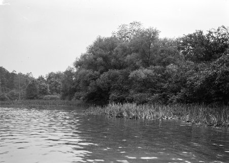 Woodlawn - Coster, Gordon, 1920-1985