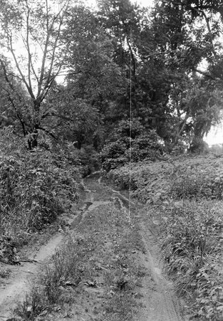 Baltimore Scenes - Coster, Gordon, 1920-1985
