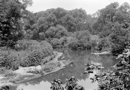 Grey's Falls - Coster, Gordon, 1920-1985
