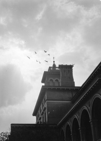 Baltimore and possible Chicago scenes - Coster, Gordon, 1920-1985