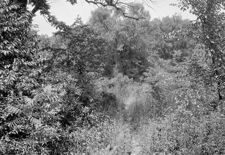 Grey's Falls - Coster, Gordon, 1920-1985