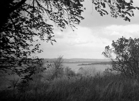 Glen Ellen - Coster, Gordon, 1920-1985