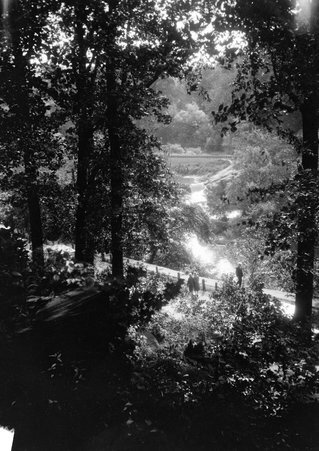 Grey's Falls - Coster, Gordon, 1920-1985